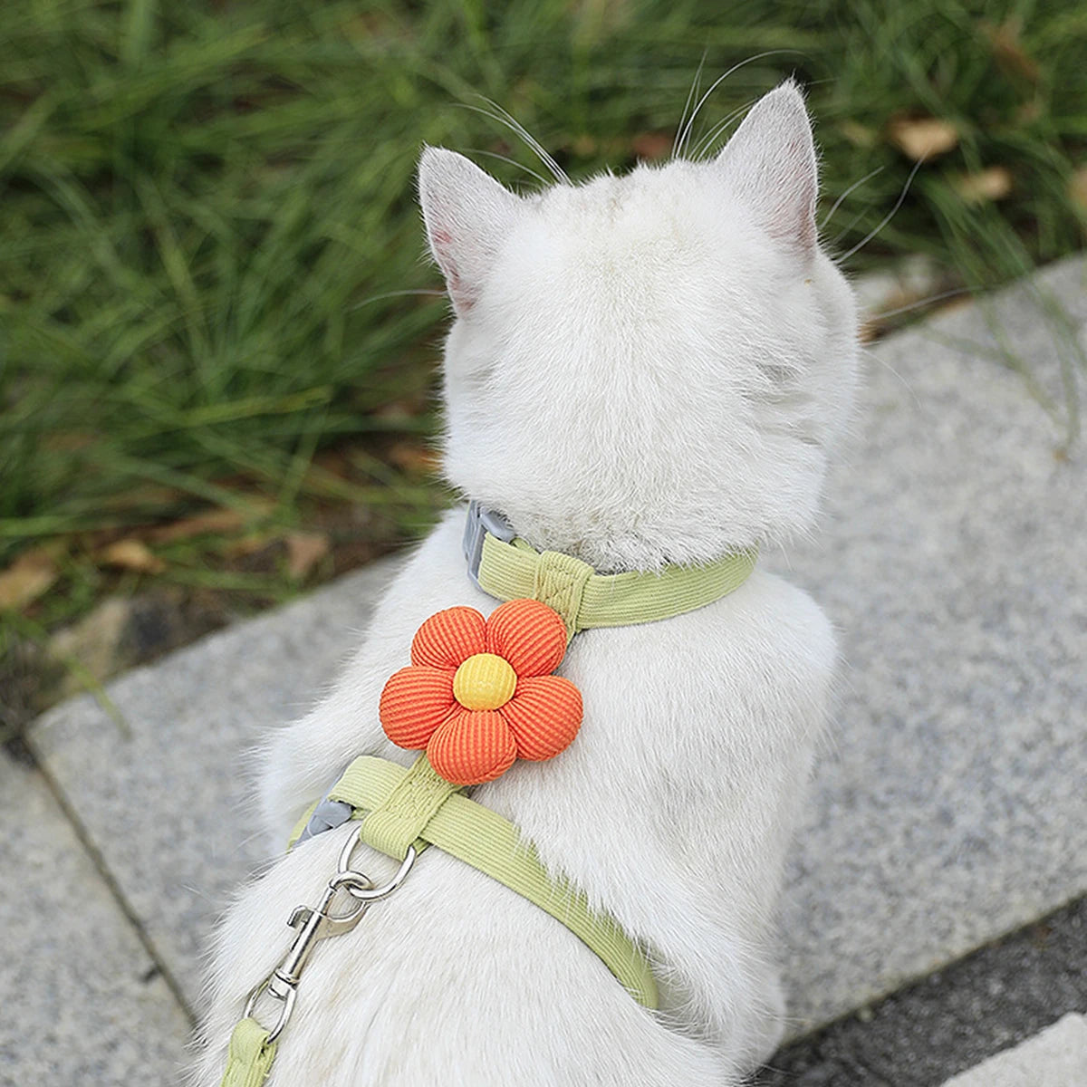 Adjustable Cat Harness and Leash Set | Perfect for Small Dogs & Cats