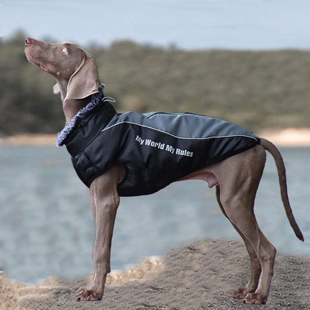 Chaqueta Gruesa para Perro con Cuello de Piel | Ropa de Invierno para Mascotas