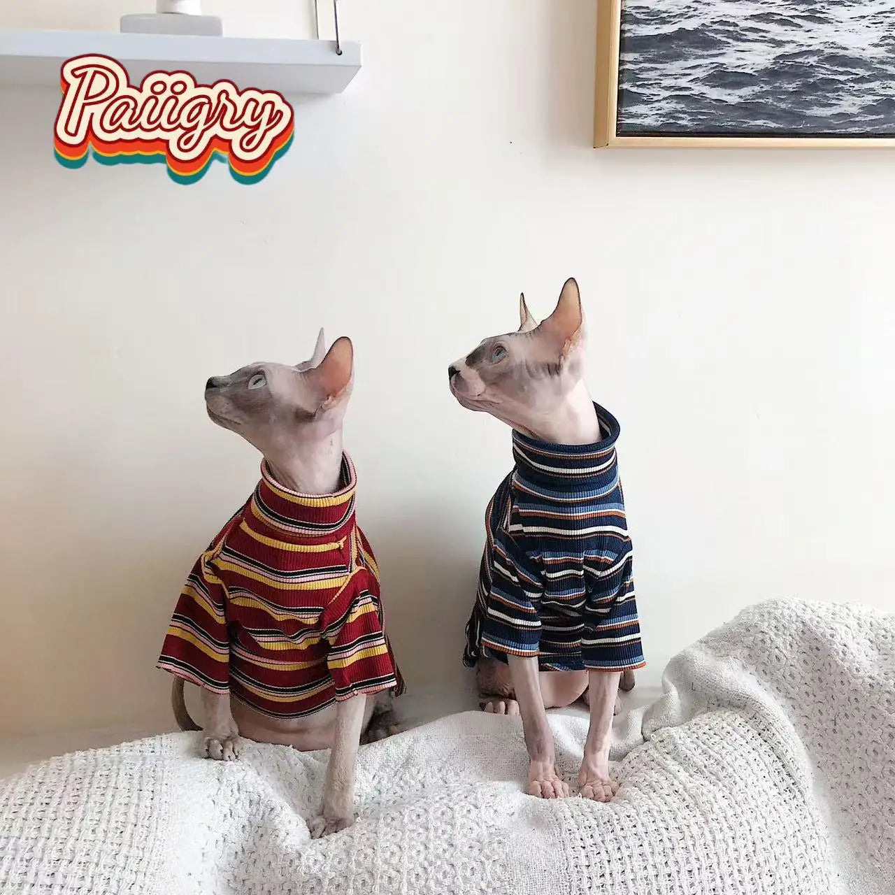 Trendy Retro Cat T-Shirt | Must-Have Summer Pet Clothing
