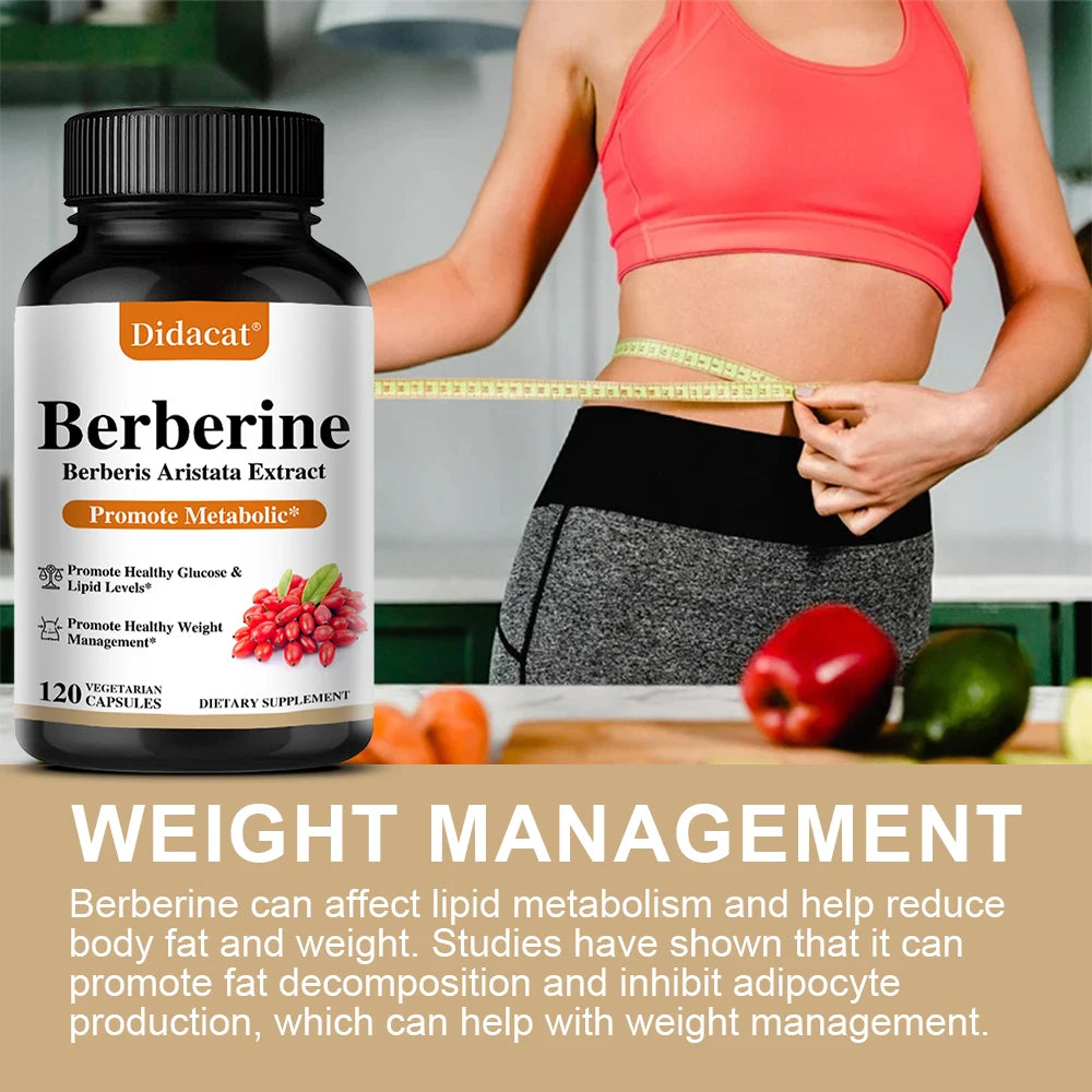 500mg Berberine Dietary Supplement for Metabolism & Weight Management