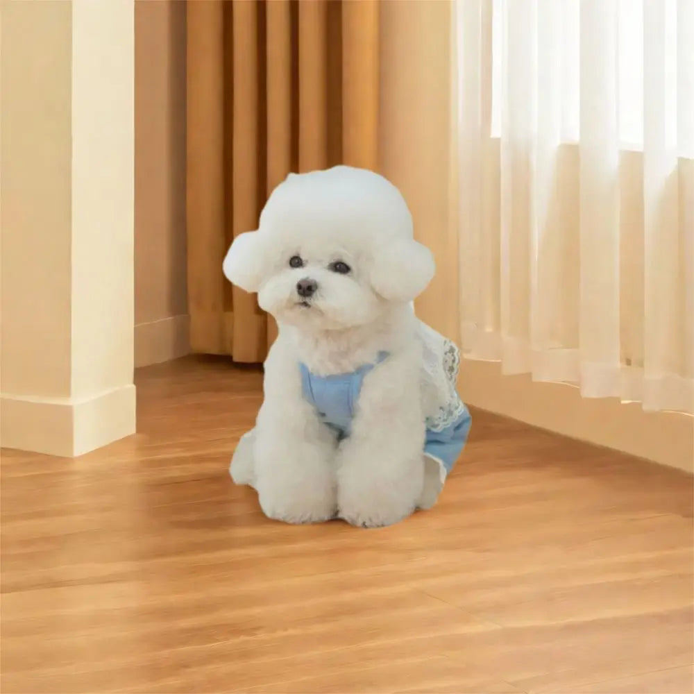 Breathable Soft Pet Lace Jumpsuit | Fashionable Dog Pajamas