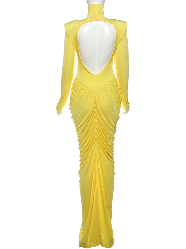 Elegant Autumn Maxi Dress | Turtleneck Full Sleeve Womens Dress