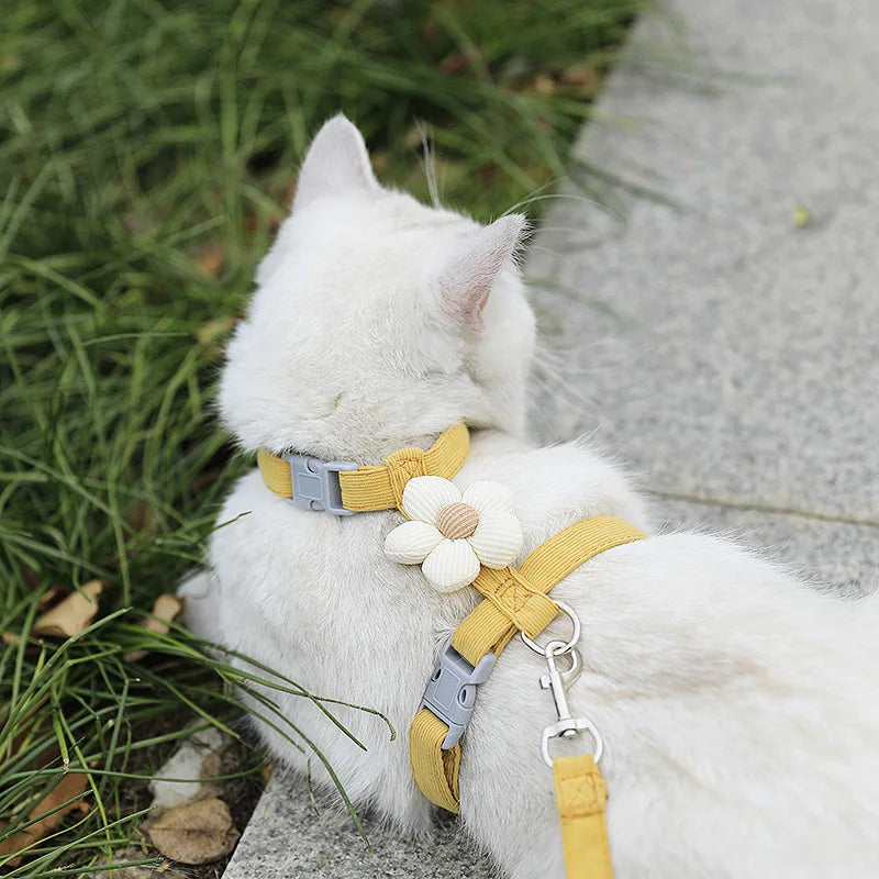 Adjustable Cat Harness and Leash Set | Perfect for Small Dogs & Cats