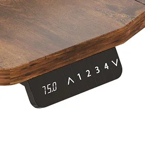 Height Adjustable 55 x 30''Electric Standing Desk with Curved Design Stand Up Table 4 Memory Keys,Computer Desk