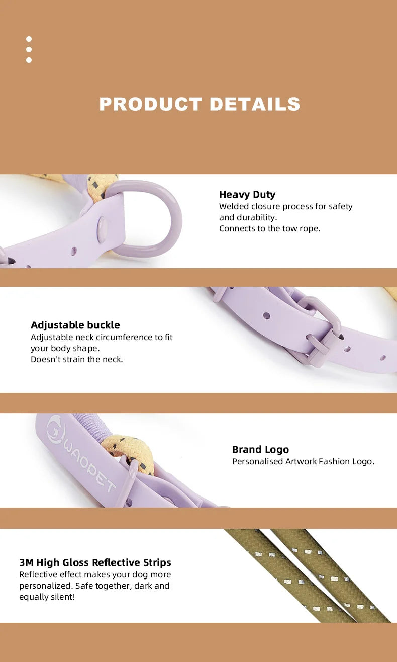 Cute Sugar Color Dog Collar and Leash Set for Small to Medium Dogs