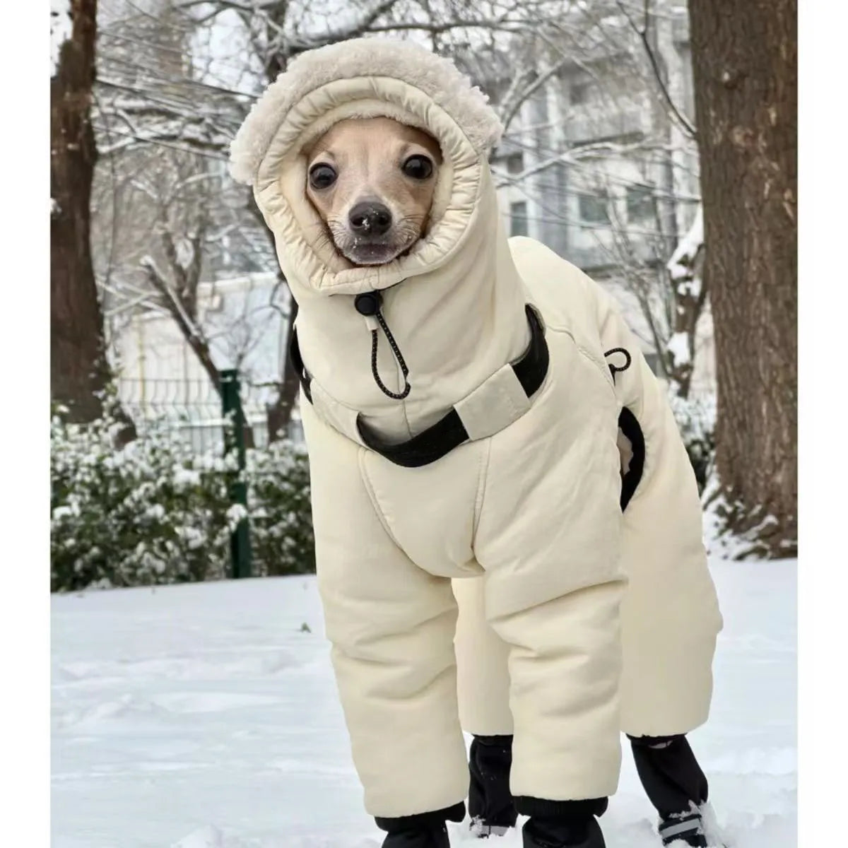 Warm Dog Jacket for Big Dogs | Winter Dog Clothes for Cold Weather
