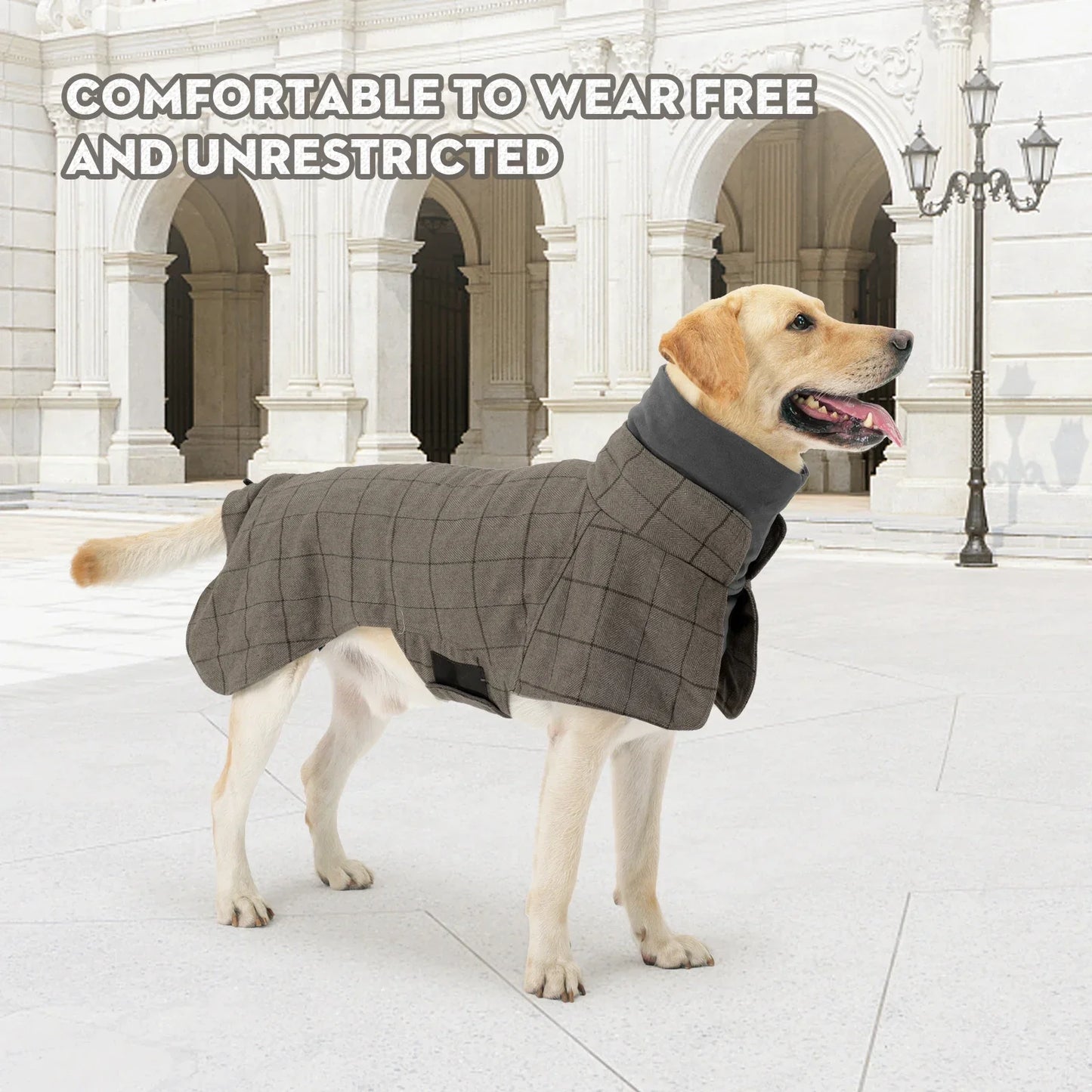 Chaqueta para perros a cuadros impermeable y cortavientos | Ropa de invierno acogedora para mascotas