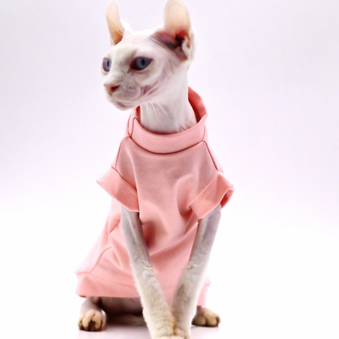 Breathable Cotton Cat Vest for Summer | Lightweight Pet Apparel
