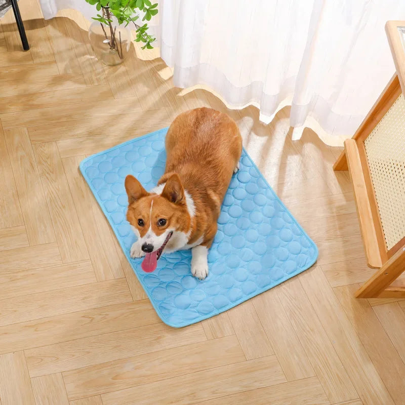 Cooling Pet Ice Pad | Breathable Washable Sleep Mat for Pets