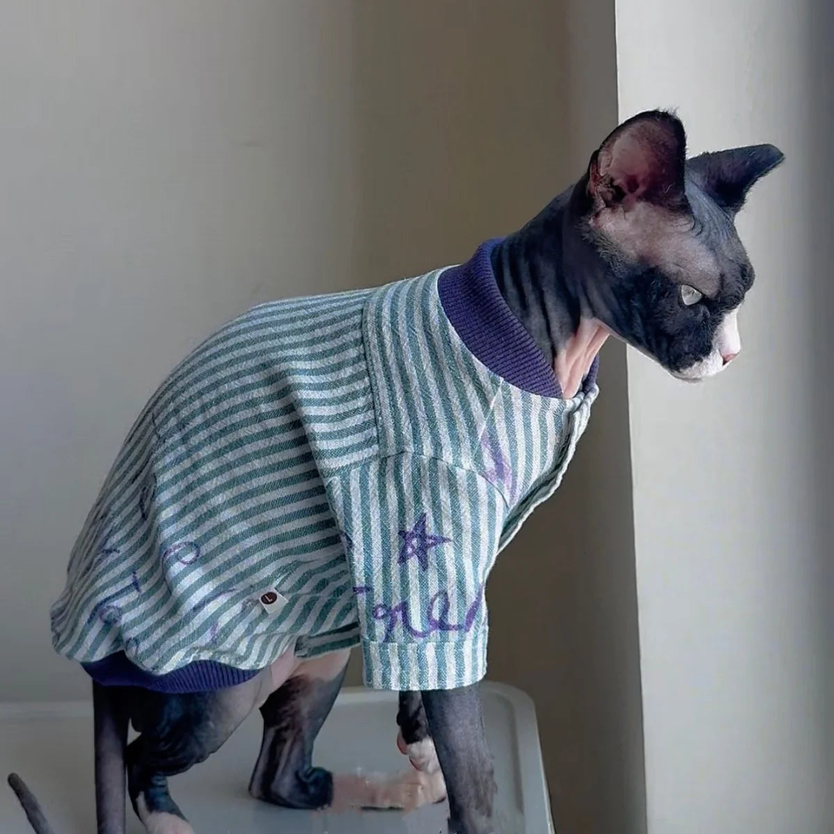 Stylish Cotton Baseball Jacket for Sphynx Cats and Kittens