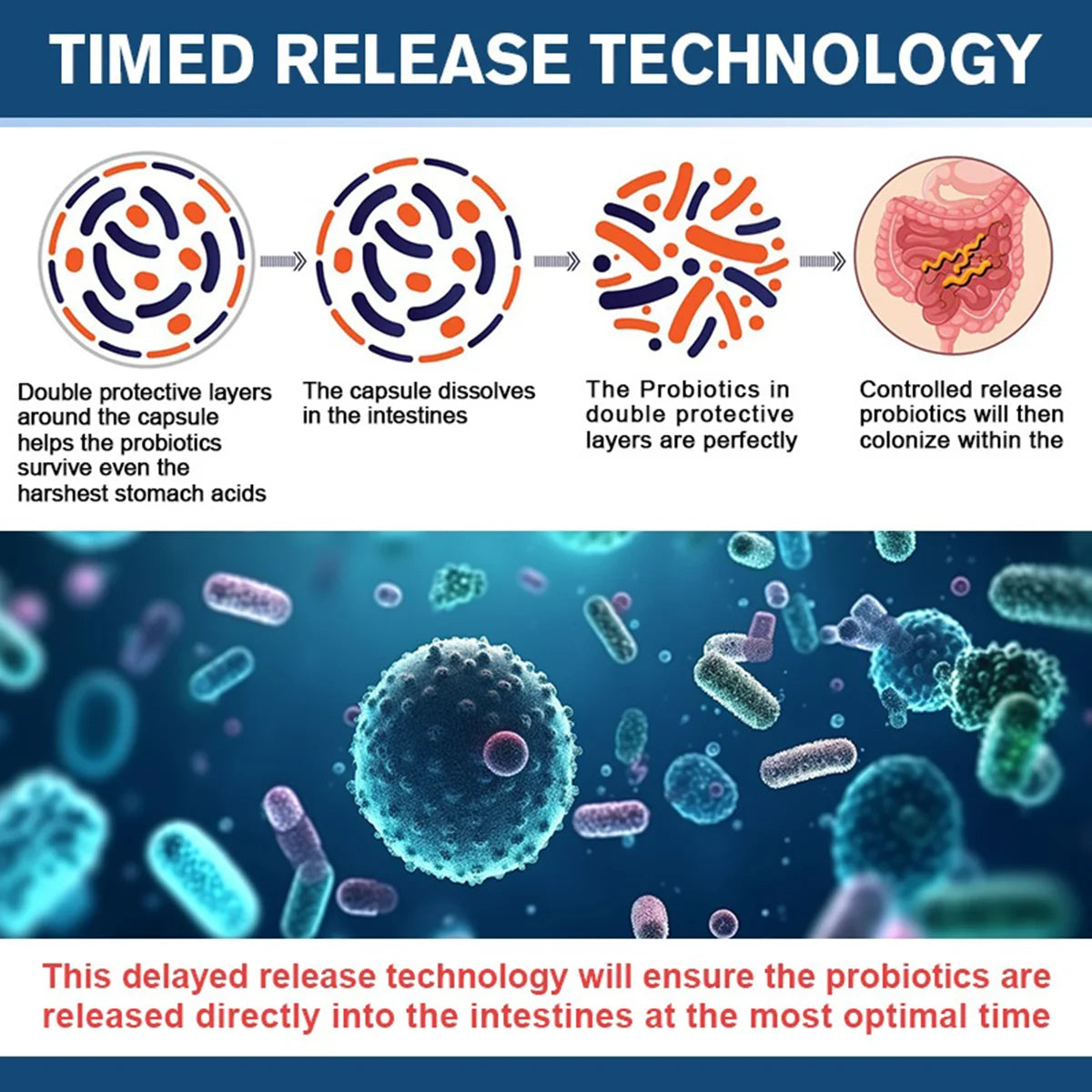 50 Billion CFU Probiotics | Daily Digestive & Gut Health Support