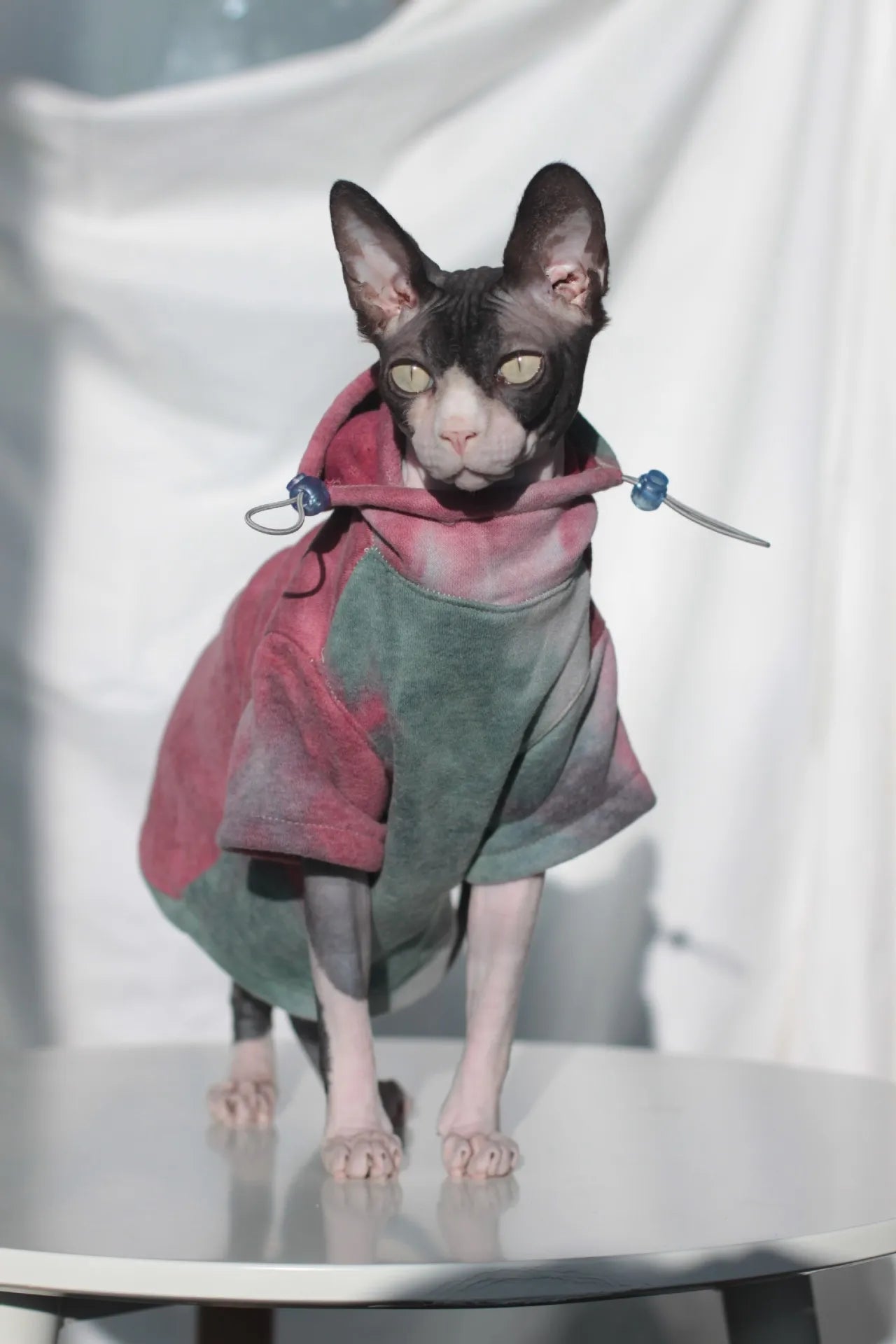 Warm Fleece-Lined Hoodie for Hairless Cats & Small Dogs