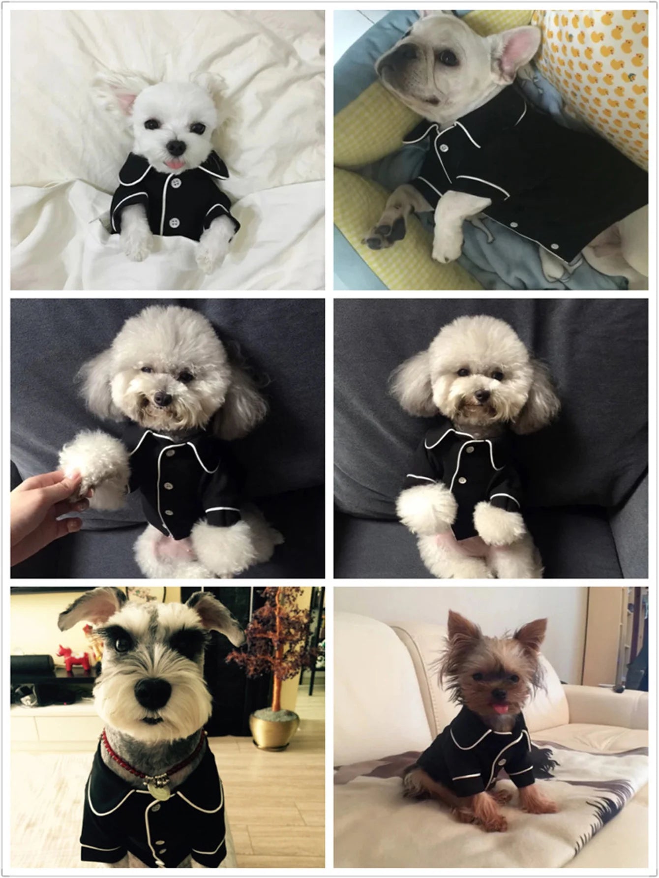 Luxurious Summer Pajama for Small Dogs | Comfortable Dog Clothes