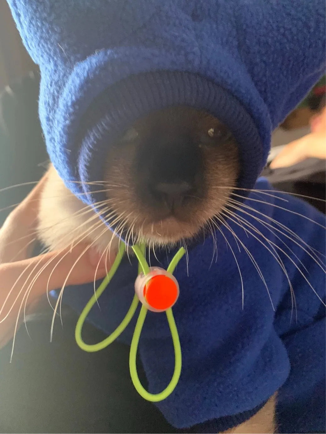 Winter Fleece Cat Coat Suit | Warm & Stylish Pet Apparel