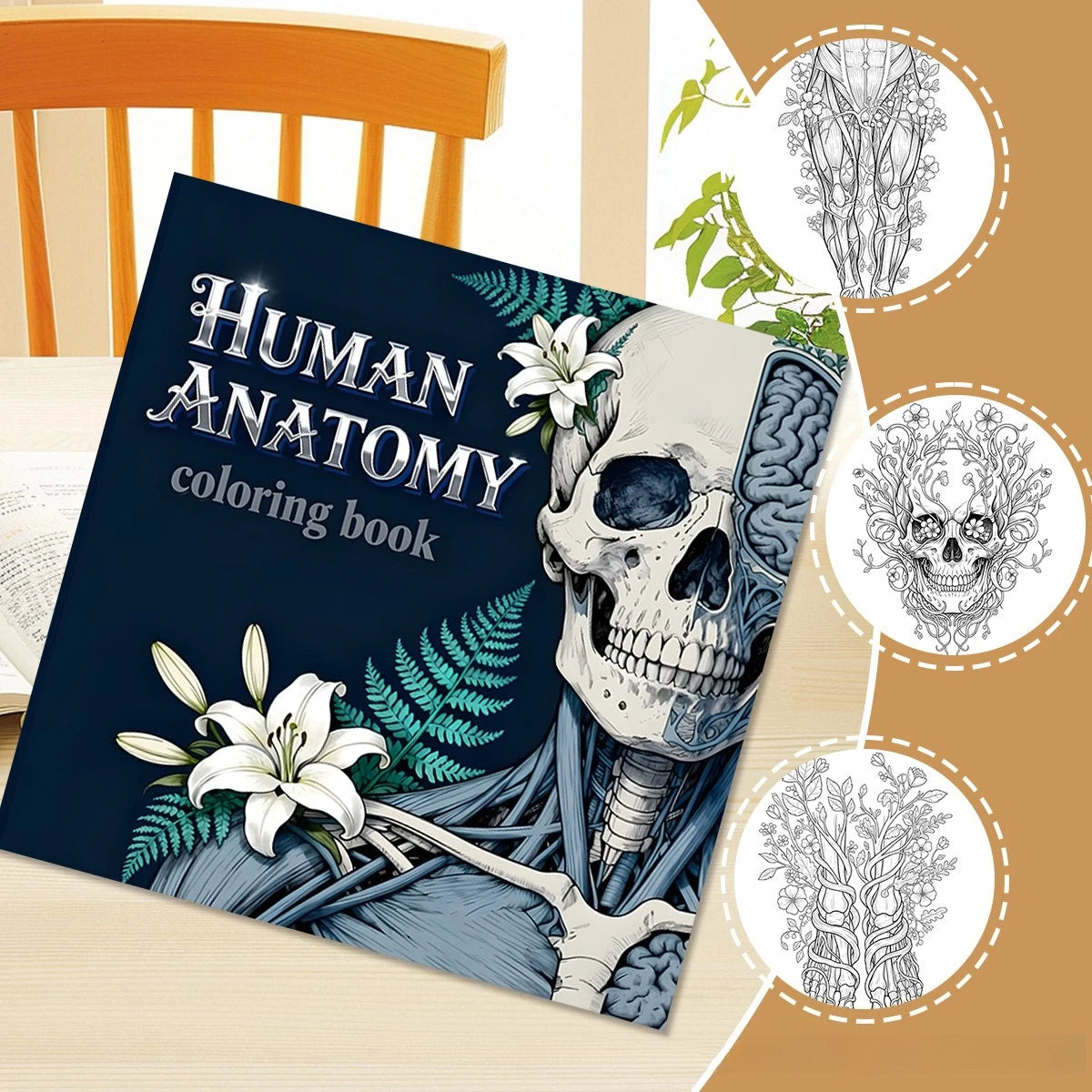 Human Anatomy Coloring Book for Stress Relief and Learning