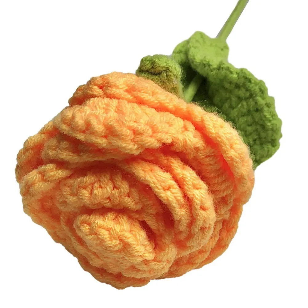 6pcs Multi-Color Crochet Rose Bouquet | Handmade Floral Decor