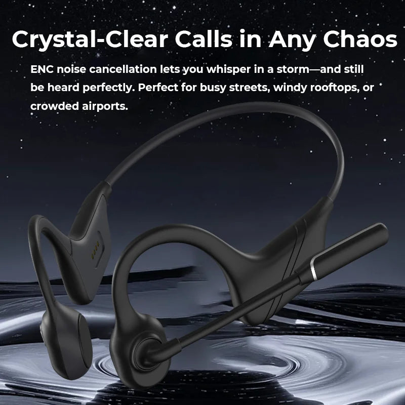 Professional Open Stereo Headphones with Noise Canceling Microphone