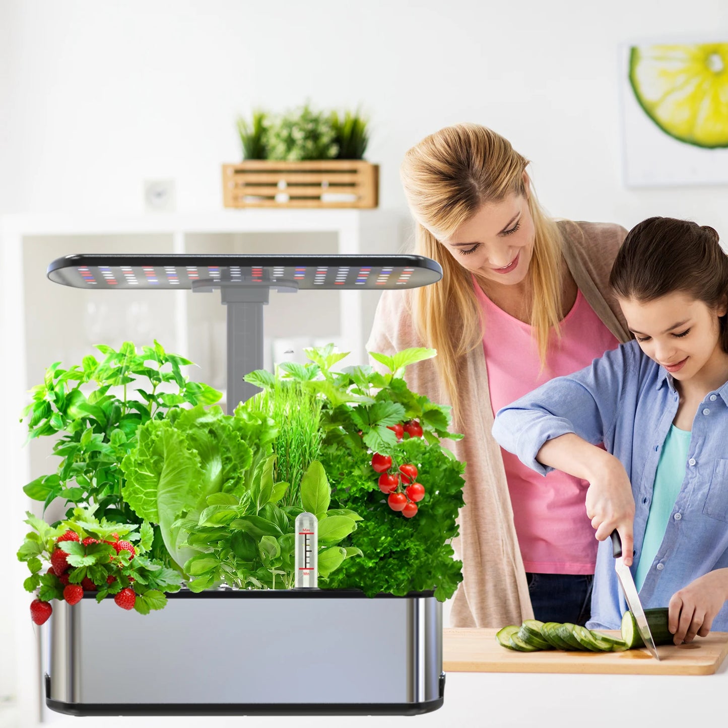 Indoor Hydroponic Growing System Kit | Smart Herbs Garden