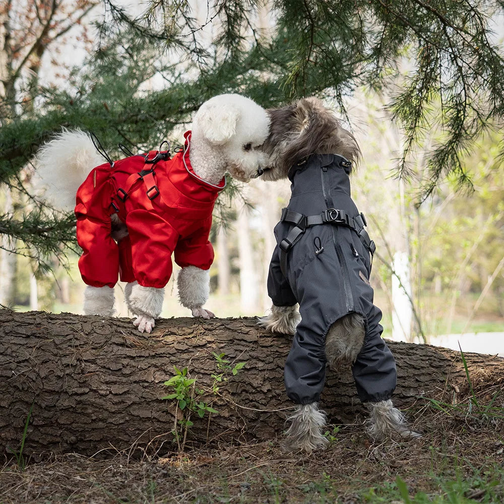 Adjustable Reflective Dog Raincoat with Harness for Small Dogs