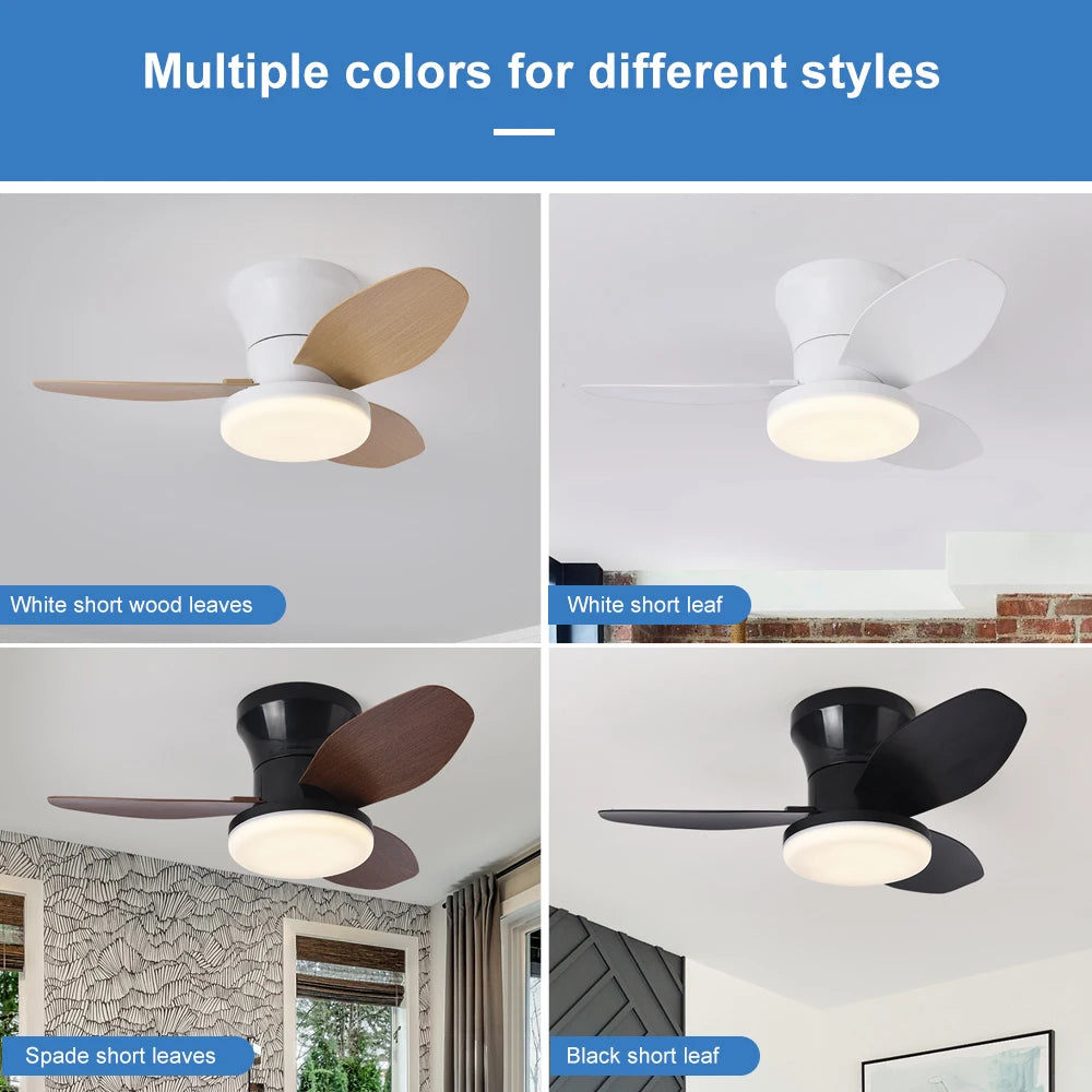 Modern Minimalist Ceiling Fan Lights for Every Room