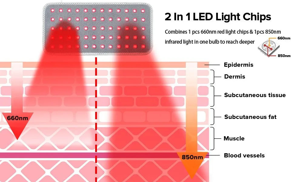 Red Light LED Therapy Device for Pet Pain Relief | Non-Invasive Healing