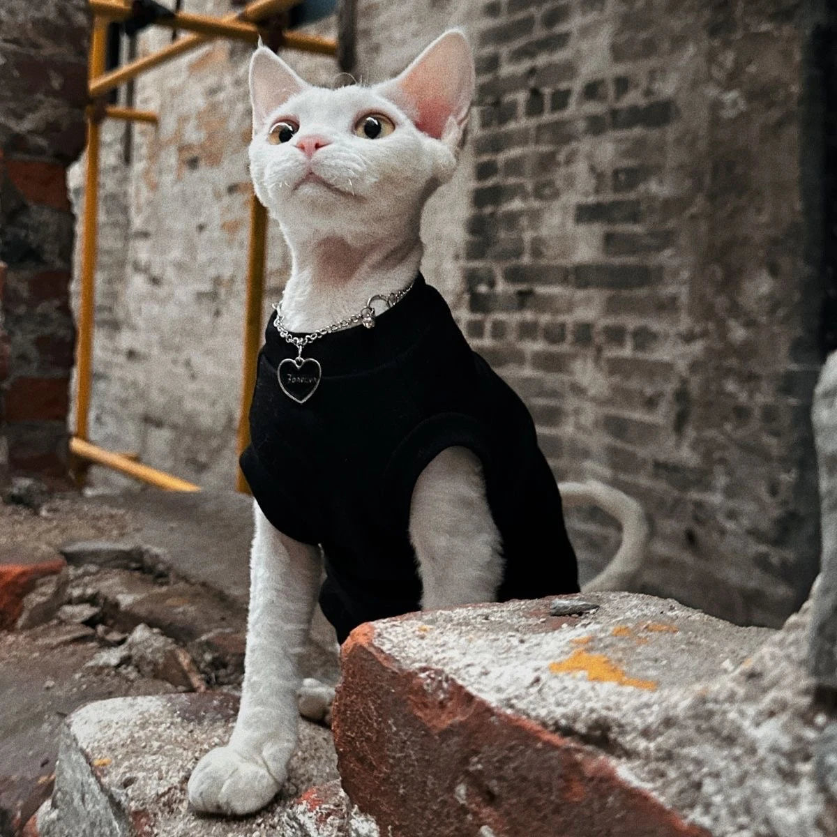 Chaleco de algodón suave para gatos sin pelo | Ropa elegante de verano para gatos