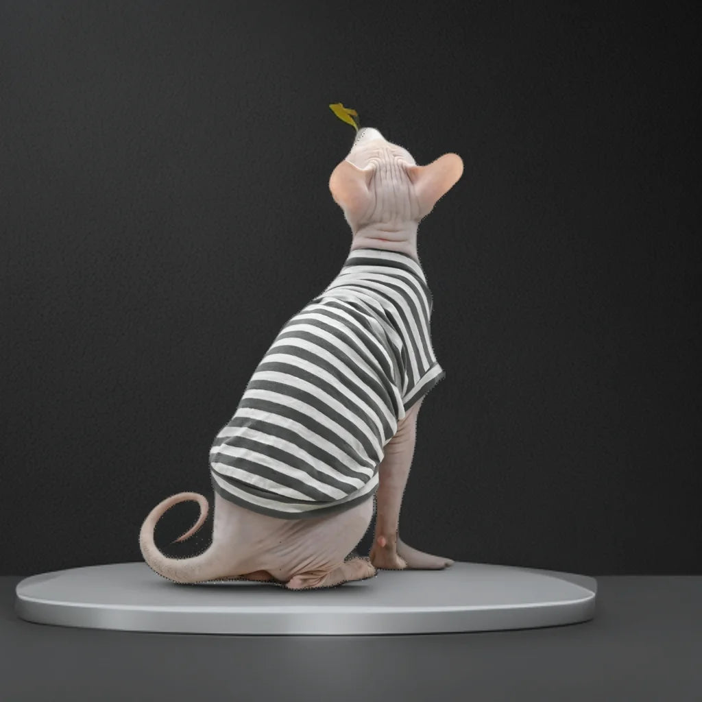 Chaleco de algodón suave para gatos sin pelo | Ropa elegante de verano para gatos