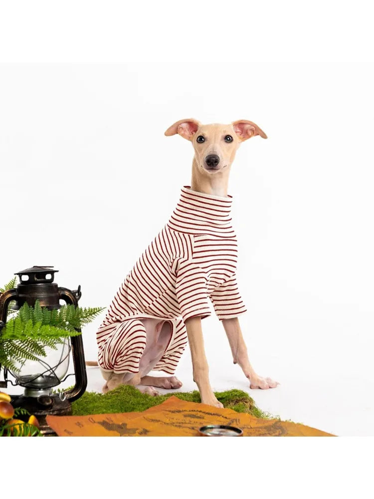 Four Legged Spring Pet Dog Jumpsuit | Comfortable Dog Apparel