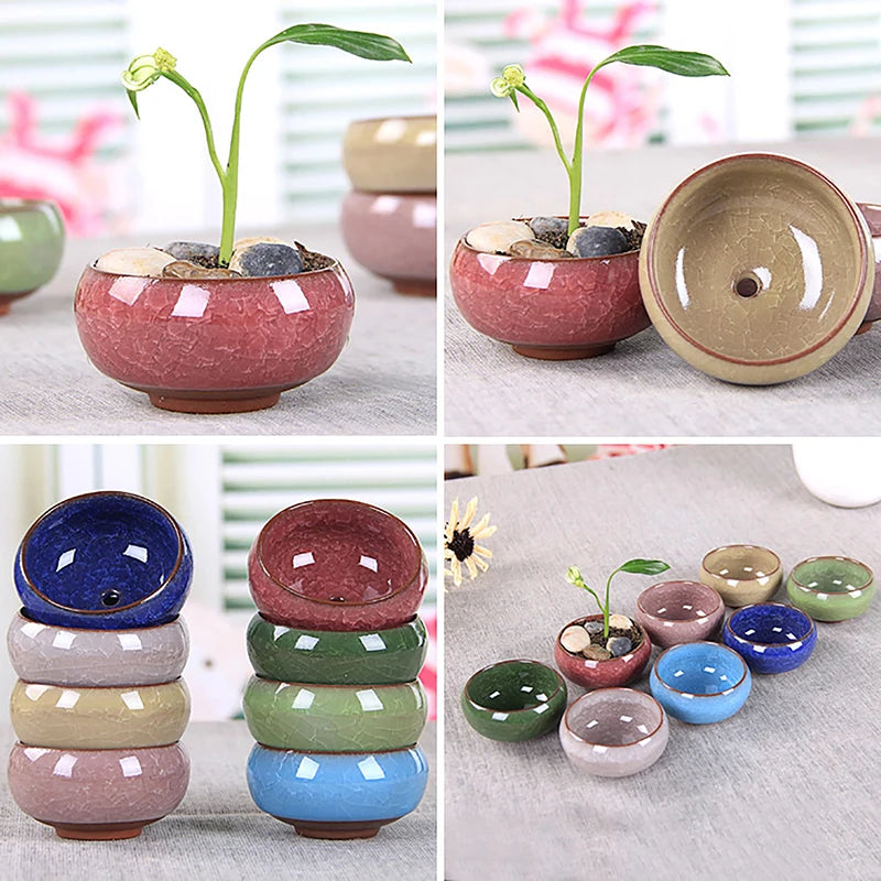 Cute Ice-Crack Glaze Flower Ceramic Succulent Planter