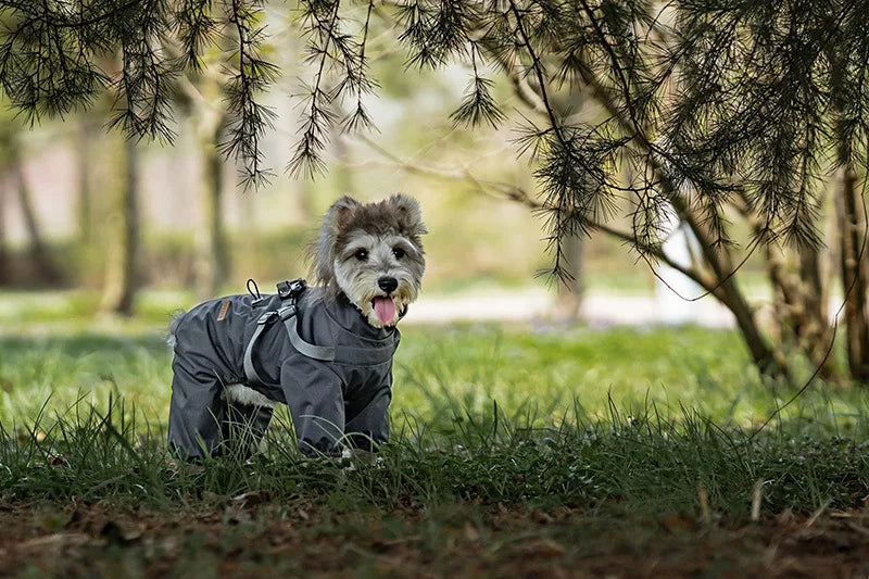 Adjustable Reflective Dog Raincoat with Harness for Small Dogs