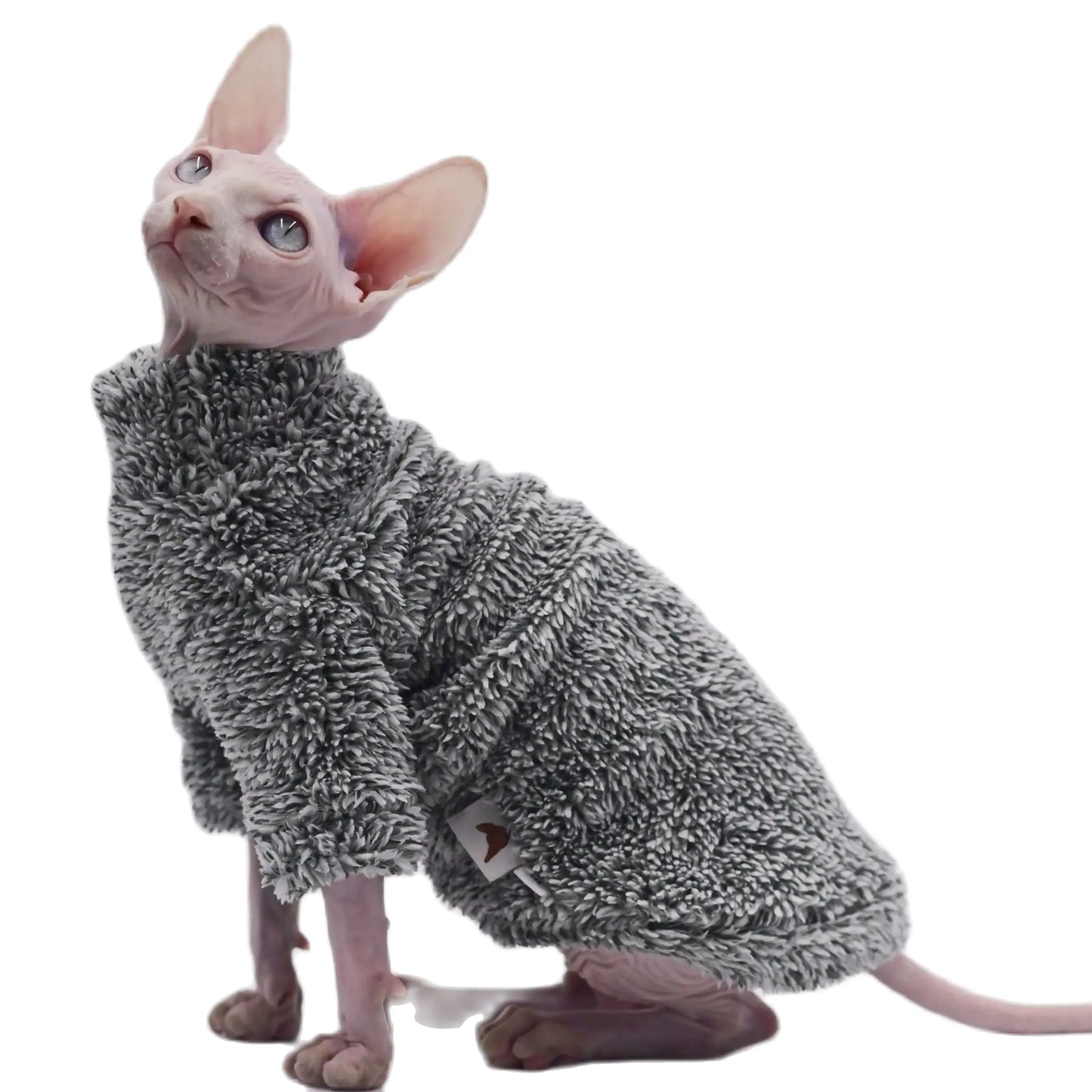 Ropa de camuflaje cálida de invierno para gatos sin pelo | Sudaderas con capucha cómodas