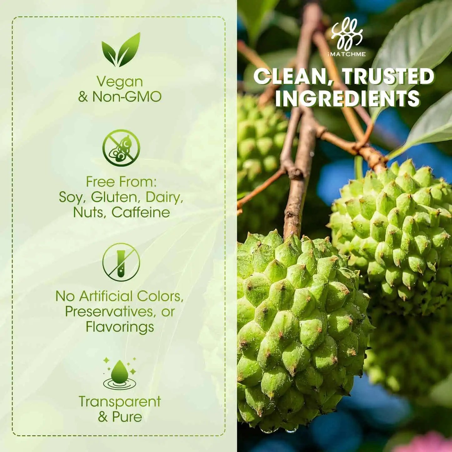 Soursop Graviola Liquid Drops for Immune & Gut Health Support