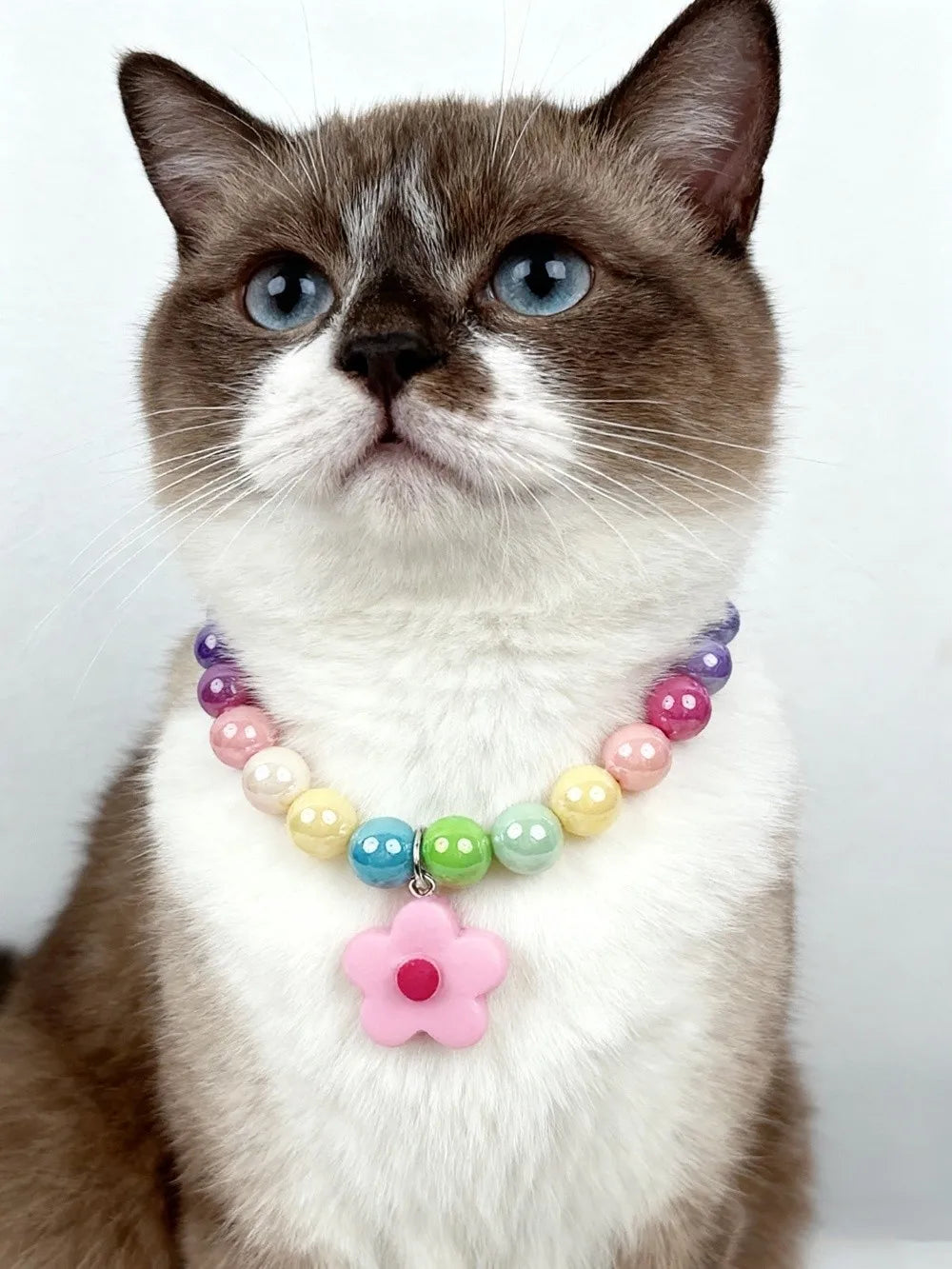 Adjustable Beaded Cat Flower Pendant Neck Chain | Pet Jewelry