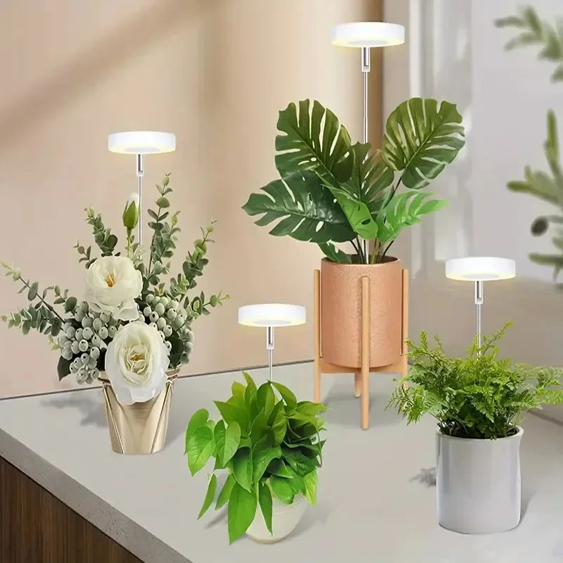 Full Spectrum LED Grow Light | Adjustable & Dimmable Plant Lamp