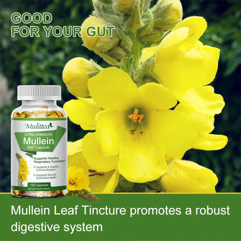 Natural Mullein Leaf Capsules | Herbal Supplement for Lung Health