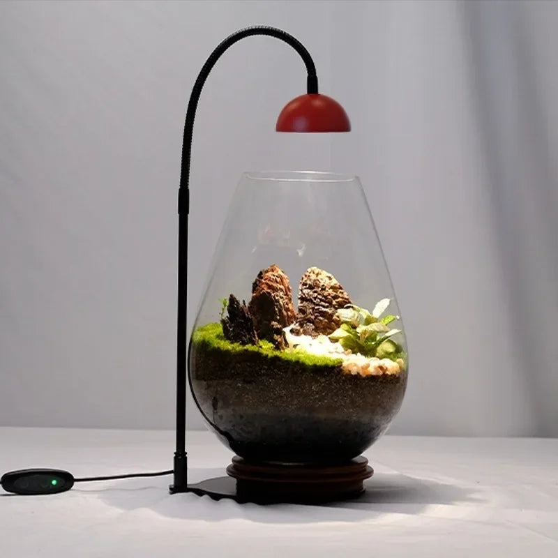 Indoor Plant Growth Lamp with Timer for Optimal Plant Care