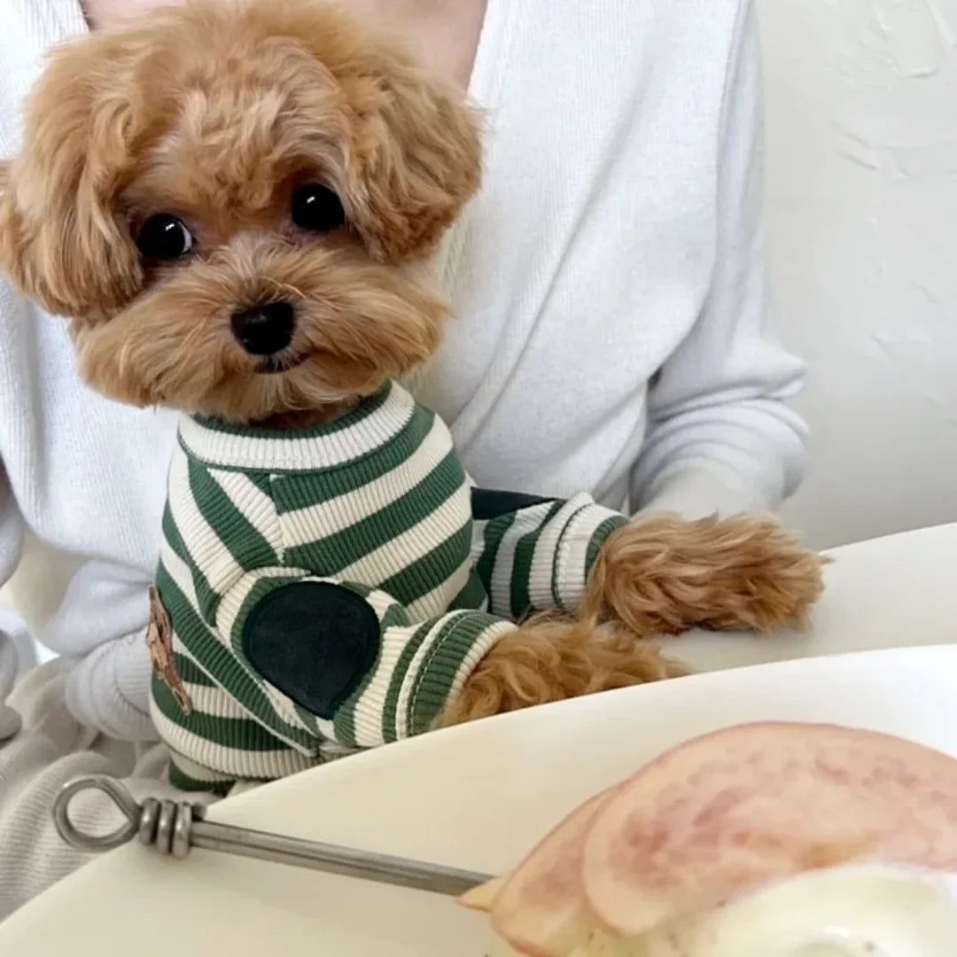 Summer Striped Dog T-Shirt | Cute & Soft Pullover for Small Dogs