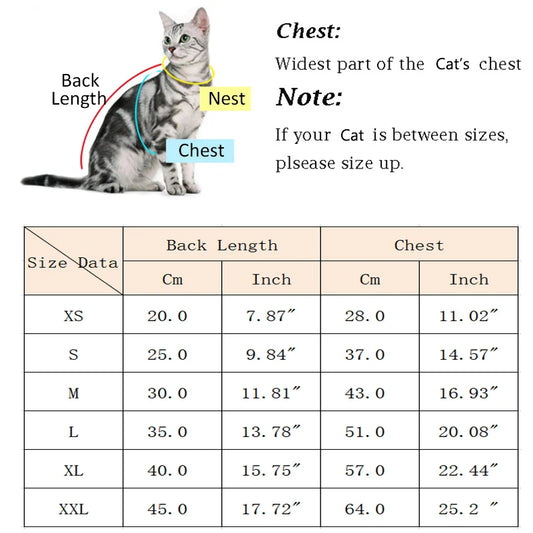 Chaqueta de plumón naranja cálido para gato con hebilla de tracción | Elegante abrigo para mascotas