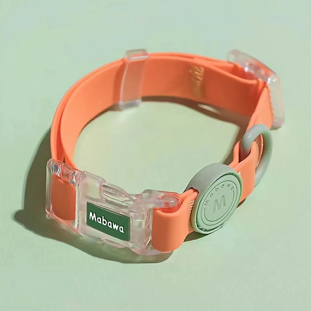 Trendy Transparent Buckle Pet Collar | Perfect for Small Dogs & Cats