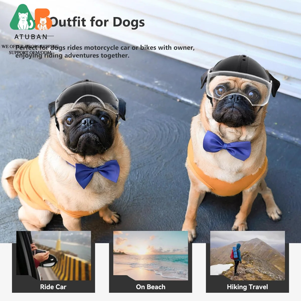 Dog Motorcycle Helmet for Small Breeds | Stylish & Protective