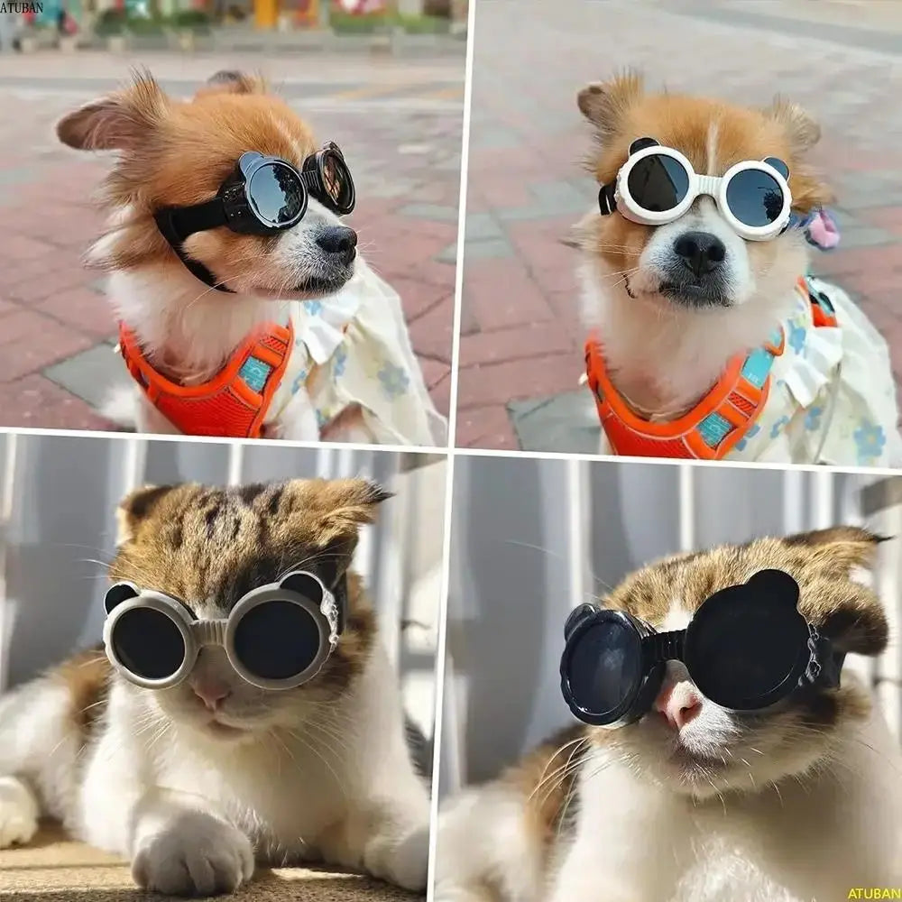 Anti UV Pet Goggles for Dogs & Cats | Adjustable Sun Eyewear