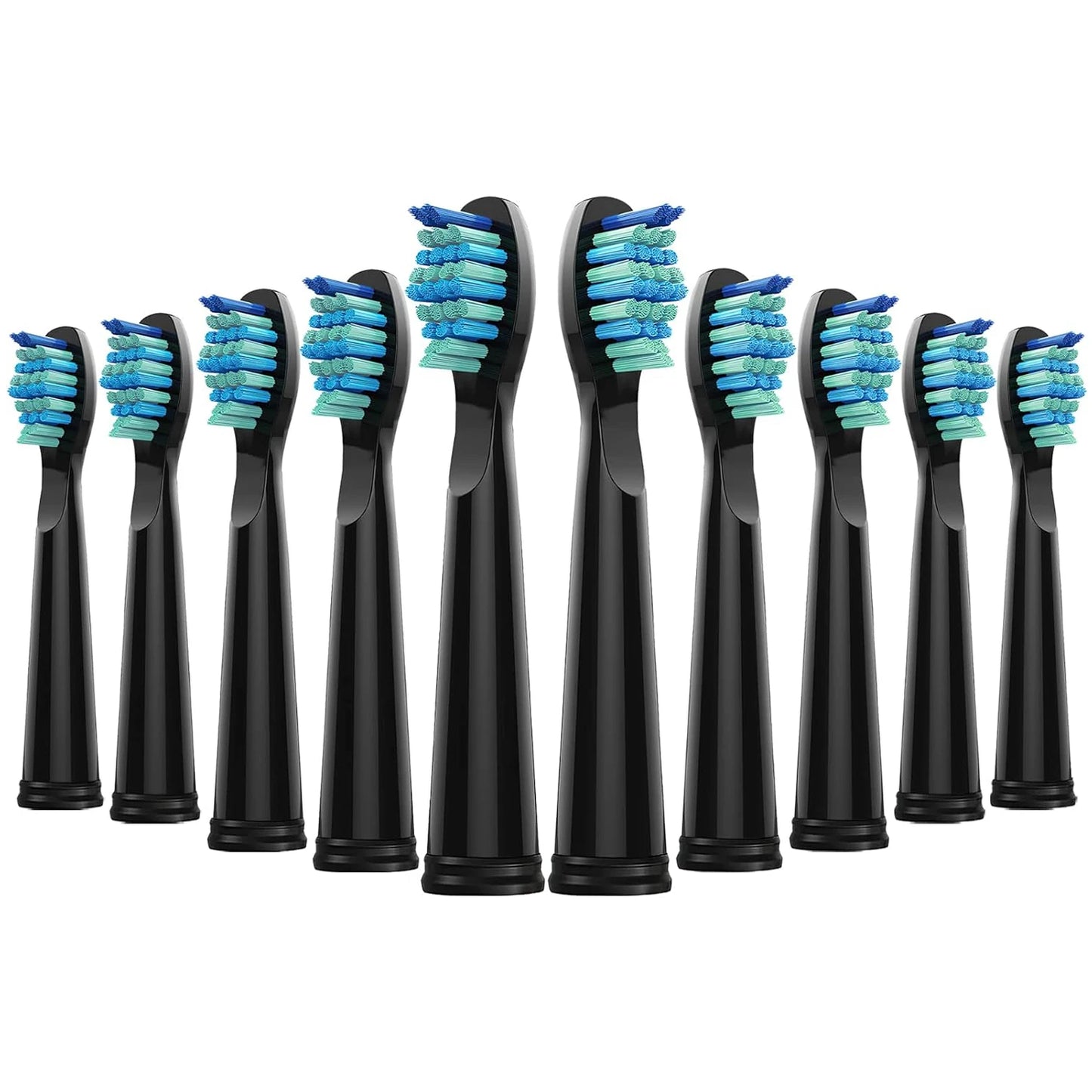 Electric Toothbrush Replacement Heads | Compatible & Affordable