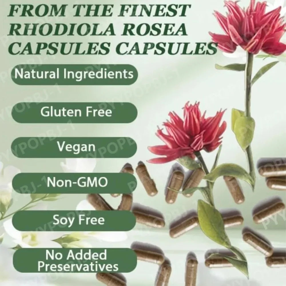 Rhodiola Rosea Capsules | Daily Energy & Mental Focus Support