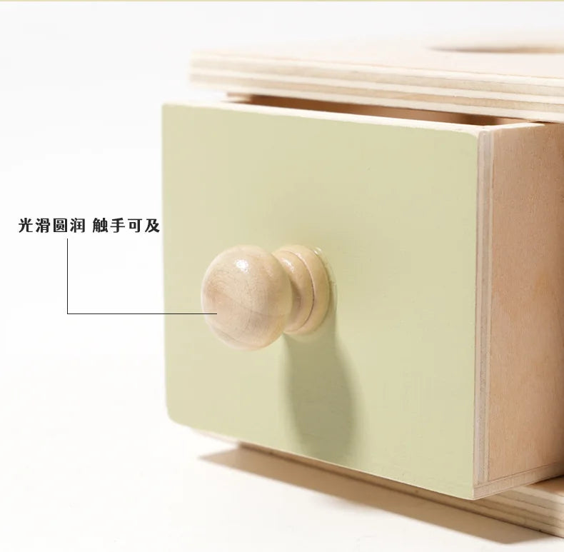 Montessori Puzzle Box for Infants | Develop Hand-Eye Coordination