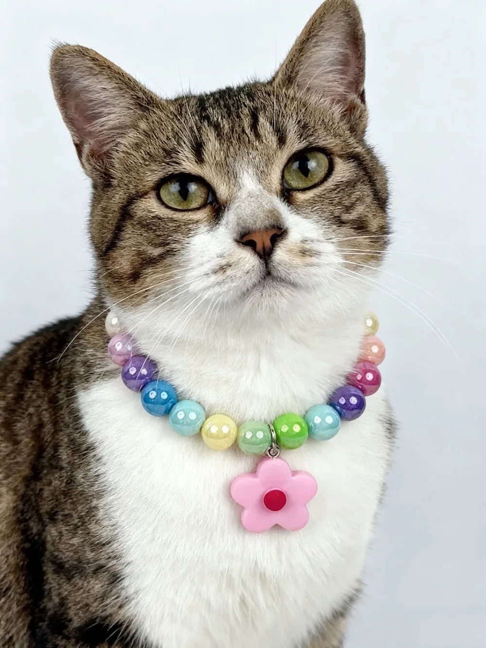 Adjustable Beaded Cat Flower Pendant Neck Chain | Pet Jewelry