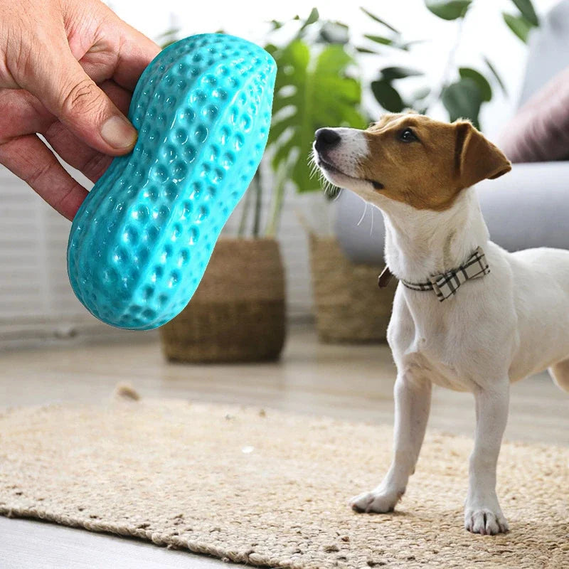Interactive Dog Chewing Toy | Peanut Shaped Squeaker for Teeth Care