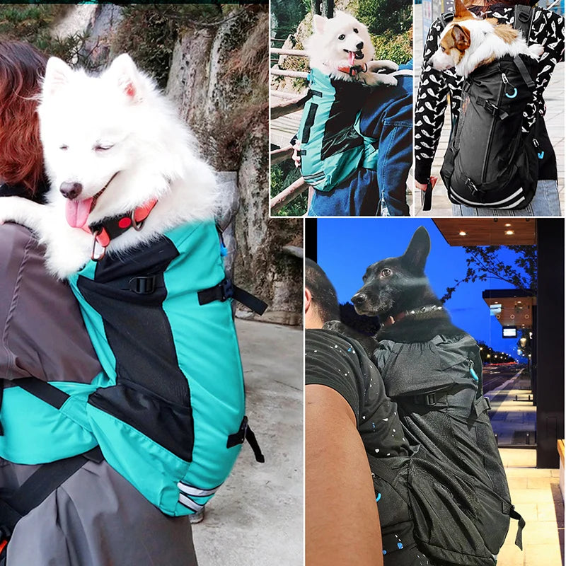 Cycling Travel Pet Carrier for Small to Medium Dogs | Adjustable Backpack