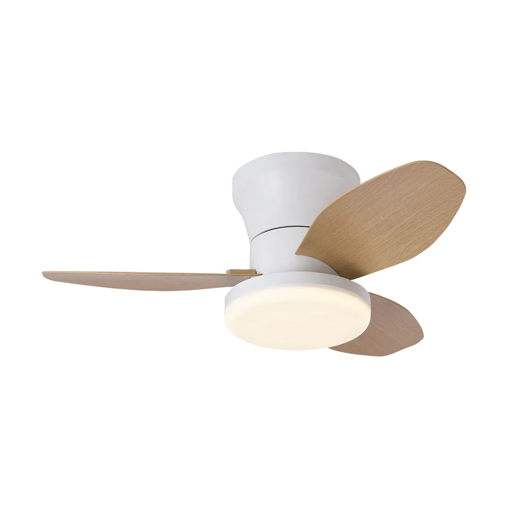 Modern Minimalist Ceiling Fan Lights for Every Room