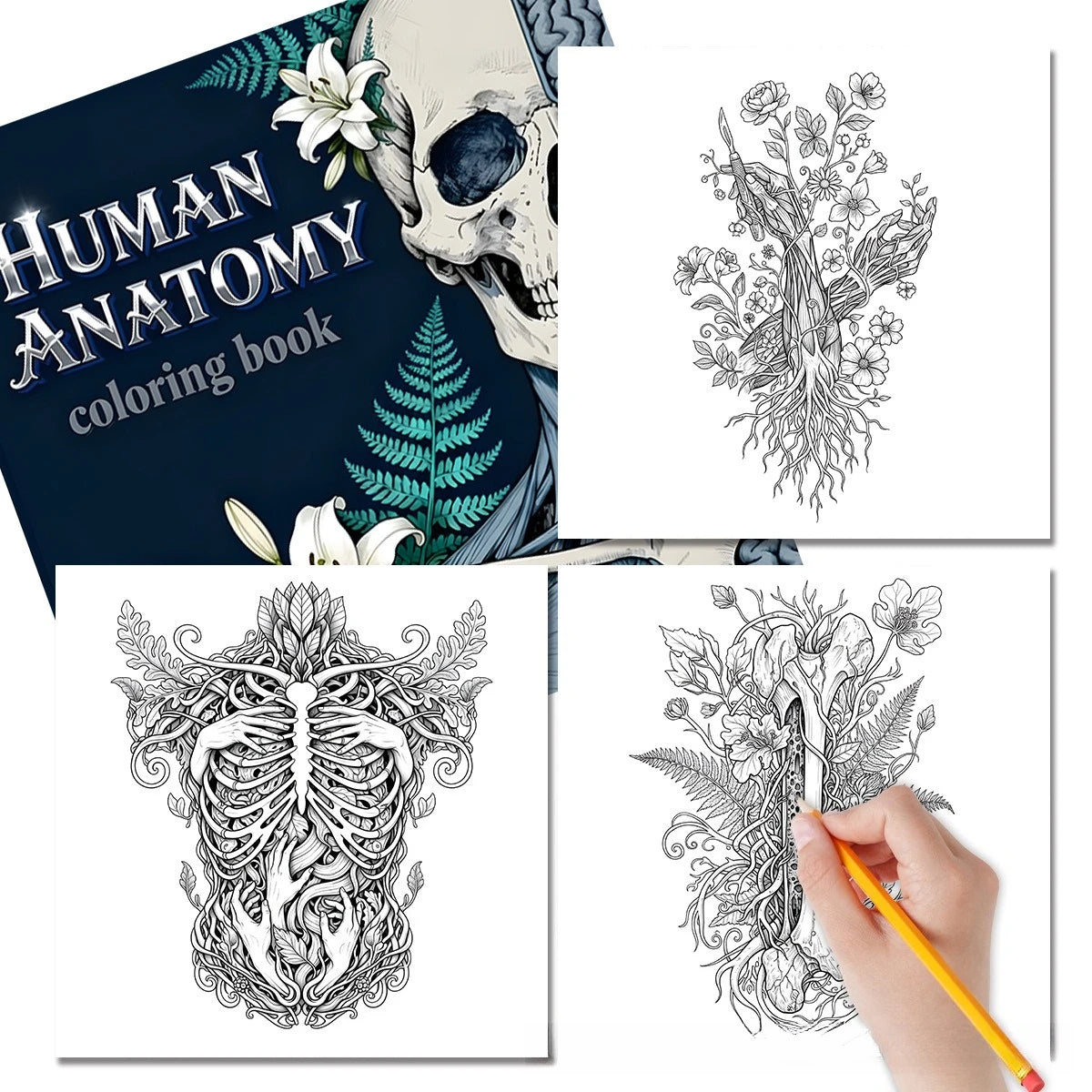 Human Anatomy Coloring Book for Stress Relief and Learning
