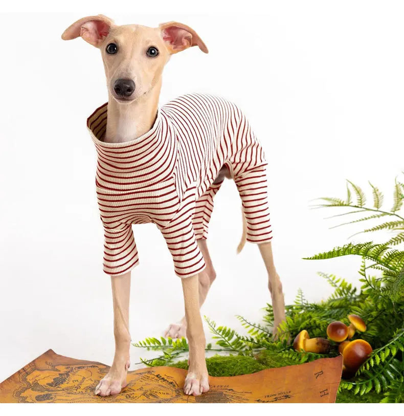 Four Legged Spring Pet Dog Jumpsuit | Comfortable Dog Apparel
